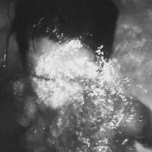 touch (feat. 4romeda)