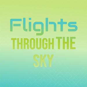 flights through the sky