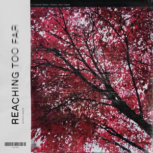 reaching too far (feat. riensu & Max Ruben) (Mirin Remix)