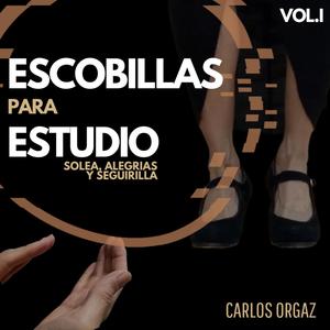 Escobillas para estudio VOL.I