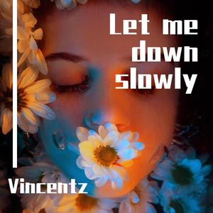 Alec Benjamin-let me down slowly (Vincentz remix)