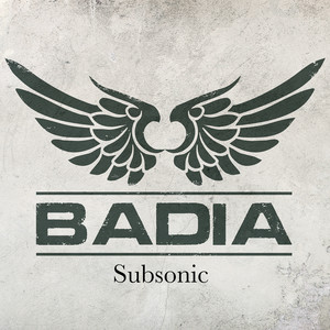 Subsonic