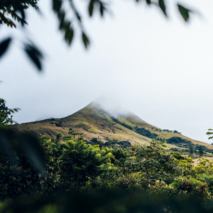 Songs For A Girl Like You