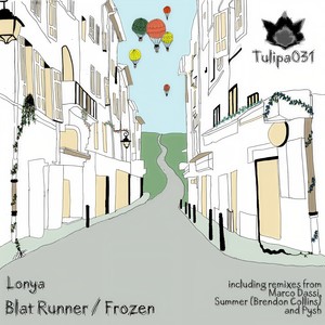 Frozen (Summer|Brendon Collins|Silver Apples Of The Moon Mix)