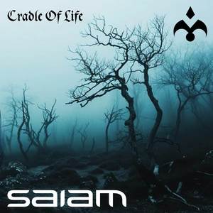 Cradle Of Life