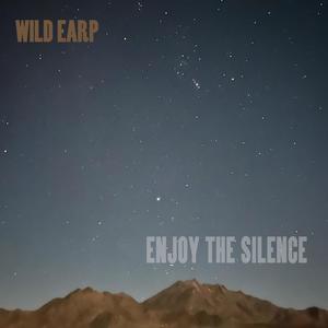 Enjoy the Silence