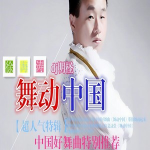 不想再说我爱你 (DJ版)