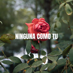 NINGUNA COMO TU (Explicit)