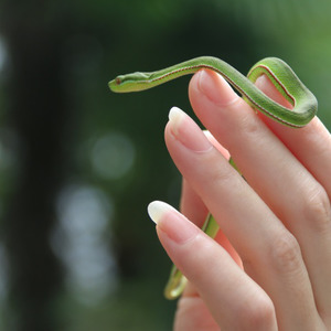 一江水 (COVER版)