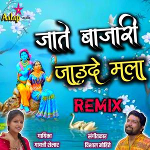 Jate Bajari Jaude Mala Sambal Mix (feat. Gayatri Shelar) (Explicit)