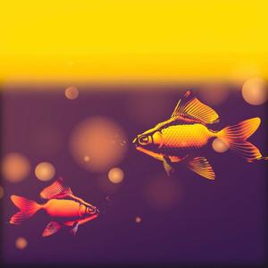 GO FISH (feat. TRUST BURN'EM, STEVI YOUNG, TAH O, SWAVẼ & TRE ILLI) (Explicit)