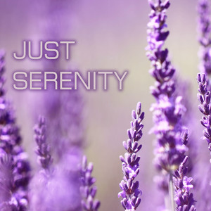 Just Serenity - Soothing Relaxation Songs