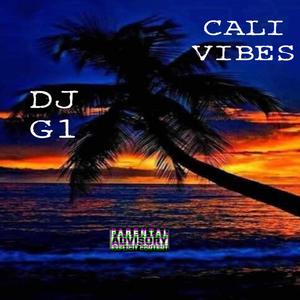 CALI VIBES (feat. DJ PLUG IN) [Explicit]