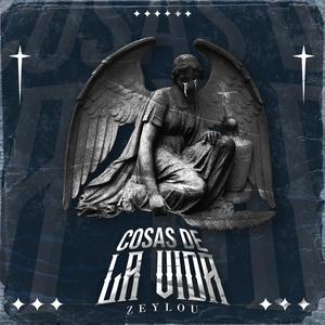 COSAS DE LA VIDA (Explicit)