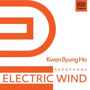 Electric Wind (クォン·ビョンホ)