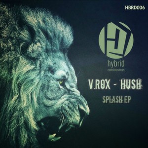 Splash (Original Mix)