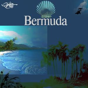 Bermuda (feat. Chromadadata)