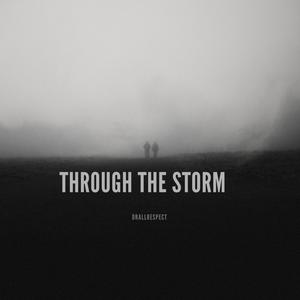 Through the Storm (Explicit)