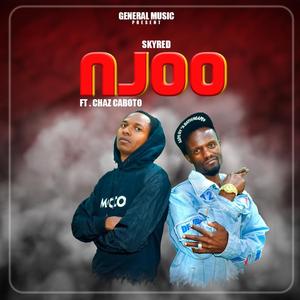 Njoo (feat. Chaz Kaboto)