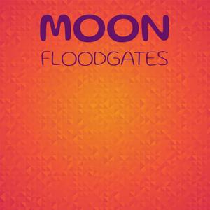 Moon Floodgates