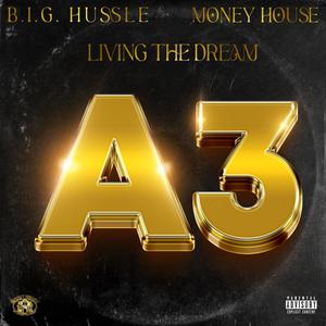 Hands Up, Don't Shoot (feat. Gutter, Matticz, Mell Corbett & Frank White) (Explicit)