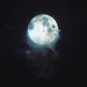 Moon Gardens