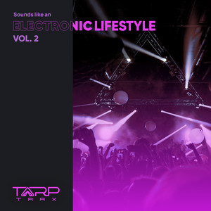 Sounds Like An Electronic Lifestyle, Vol. 2