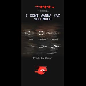 I don't wanna say too much (Explicit)