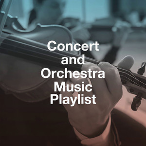 Concerto for Violin and Strings in a Minor, BWV 1041: II. Andante
