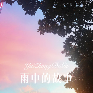 花心婆娘爱帅哥 (Remix)