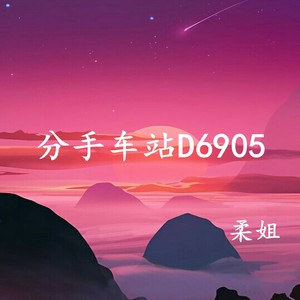 分手车站D6905