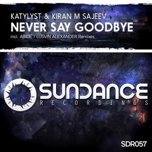 Never Say Goodbye (Abide Remix)