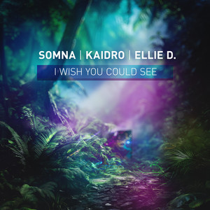 I Wish You Could See (Extended Mix)