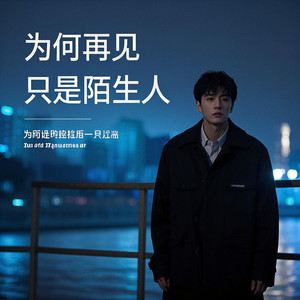 为何再见只是陌生人