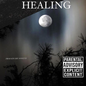 Healing (feat. Capokesh)