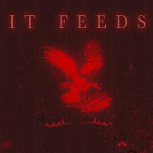 IT FEEDS (Explicit)