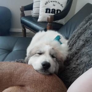 Bobby's Wrld - Another 1 (Explicit)