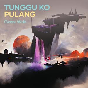 Tunggu Ko Pulang