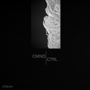 Cicada (Tony Rohr's Re-Edit)