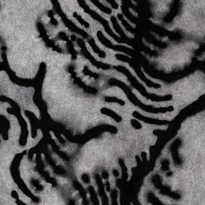 Rauques sont les tremblements