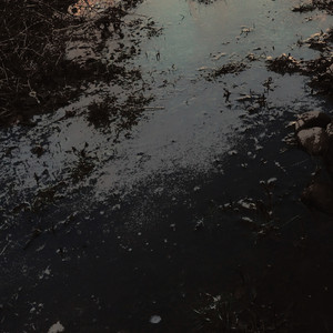 Смотрю на асфальт там лежат мои зубы