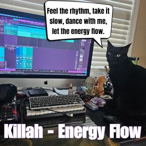 Energy Flow