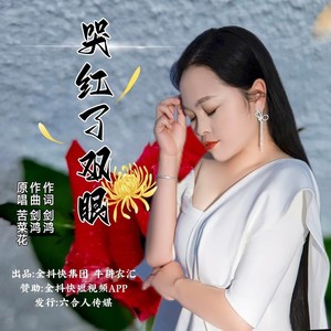 哭红了双眼 (伴奏)