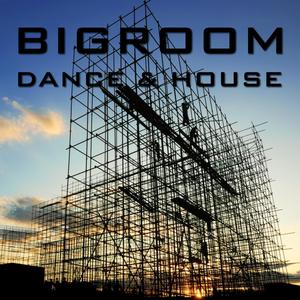 Bigroom Dance & House