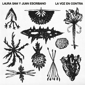 Laura Sam - Canción de amor