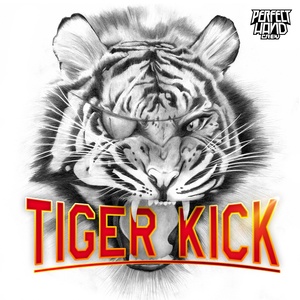 Tiger Kick (Explicit)