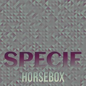 Specie Horsebox