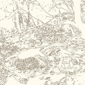 feel nothing (Explicit)