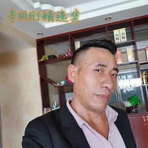 李明刚 - 想把你挽留