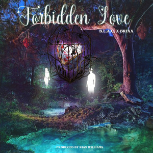 Forbidden Love (Explicit)